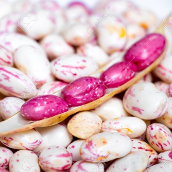 beans Proteins